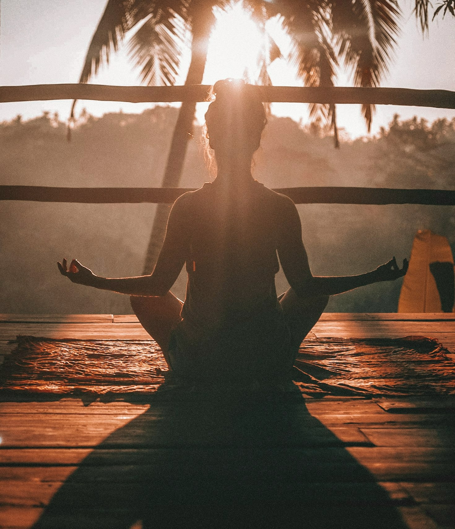 The Science Behind Holistic Health Approaches